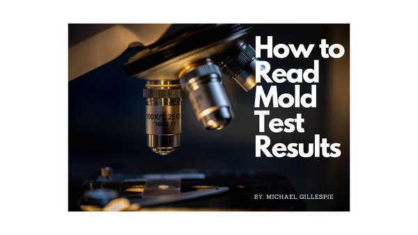 A Guide to Interpreting Mold Test Results - GreenWorks Environmental LLC