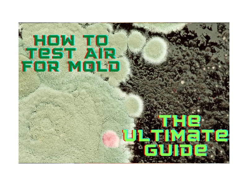 A Guide to Interpreting Mold Test Results - GreenWorks Environmental LLC