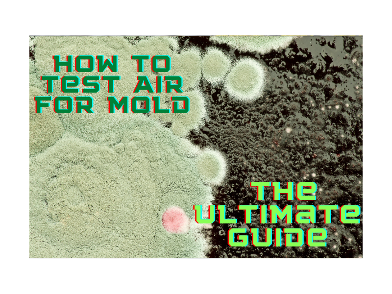 How to Test Air for Mold - The Ultimate Guide