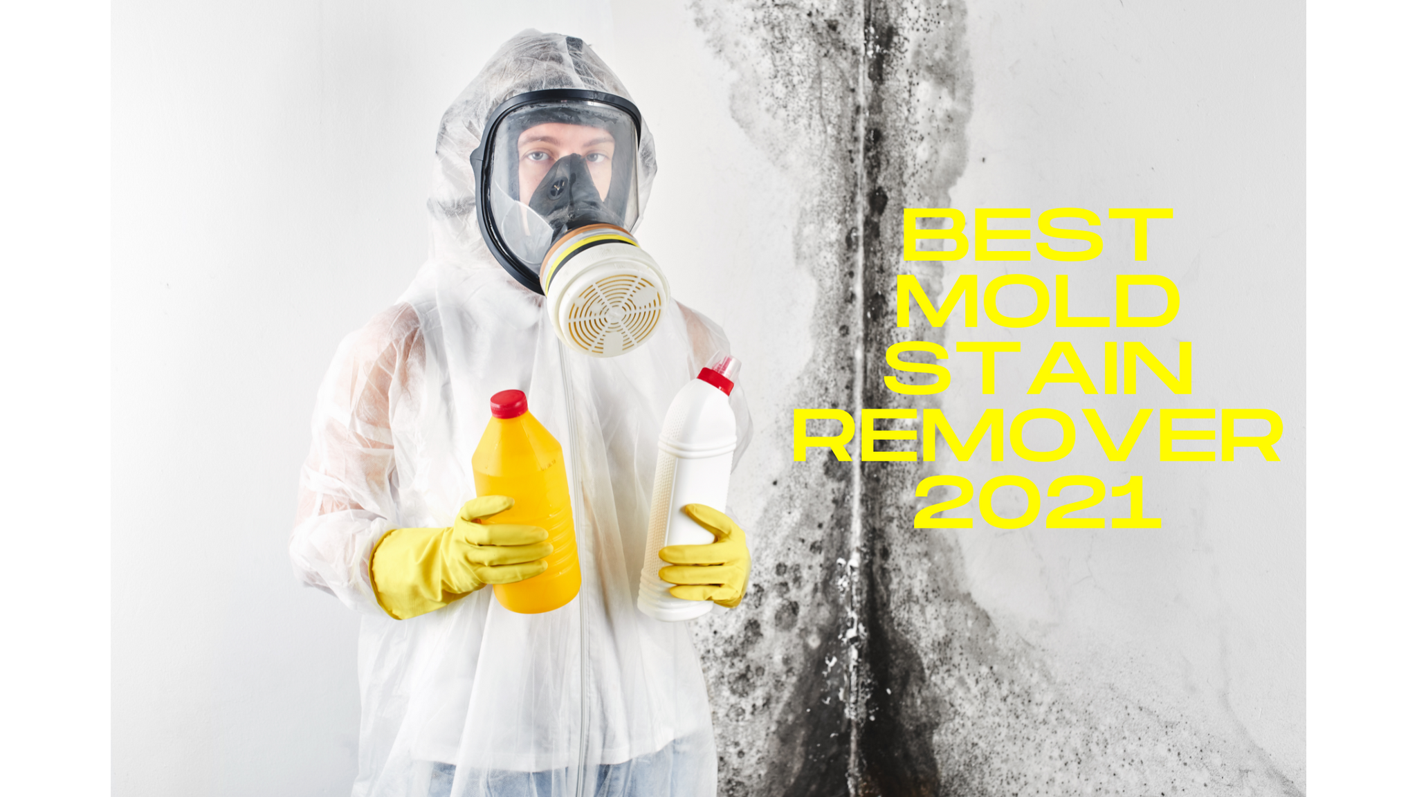 Best Mold Stain Remover 2021