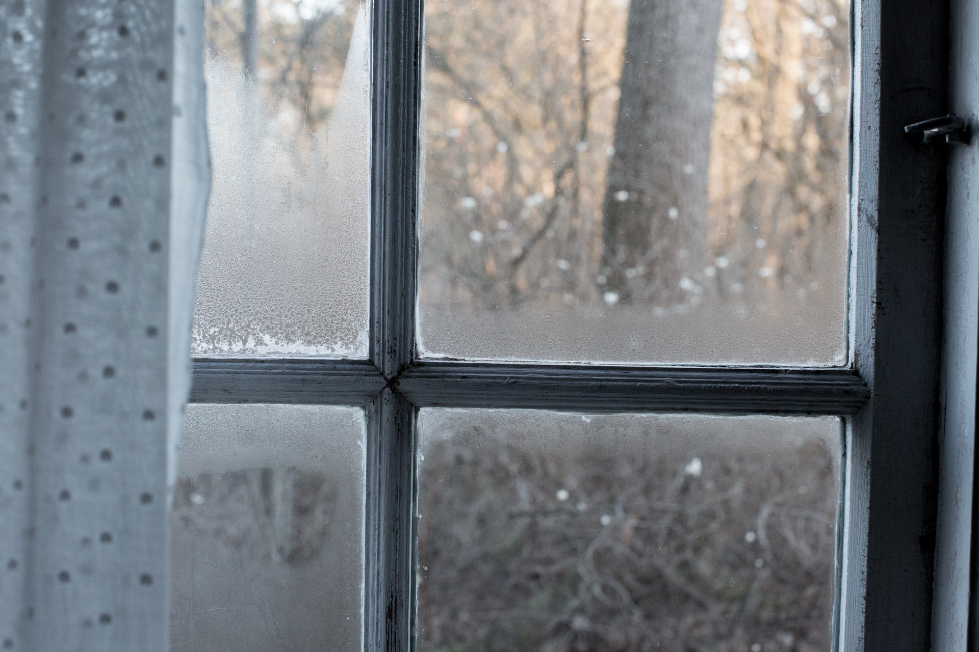 Winter Mold: Why, How to Stop it, and More