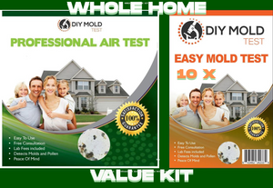Whole Home Value Kit 33 total Samples (3 air + 30 surface) Video Call with Expert