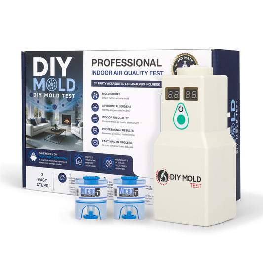 Air Mold Test Kit