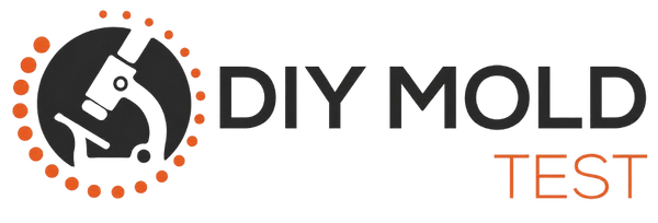 DIY Mold Test