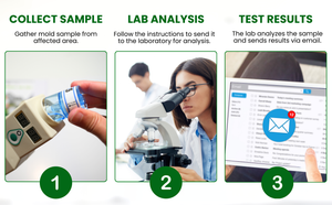 Whole Home Value Kit 33 total Samples (3 air + 30 surface) Video Call with Expert