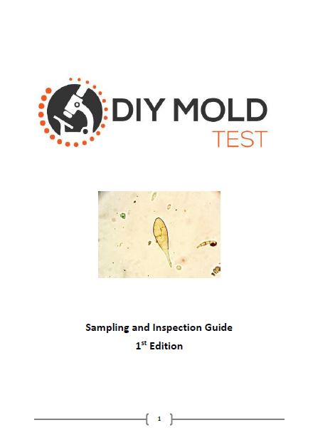 DIY Mold Test, Test For All Types of Surface Mold
