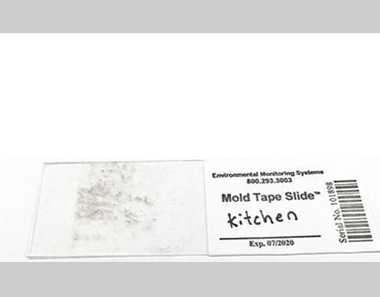  MIN Mold Test Kit, Mold Testing Kit (3 Tests). Lab Analysis and  Expert Consultation Included
