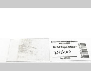 DIY Mold Test - Mold testing kit for home